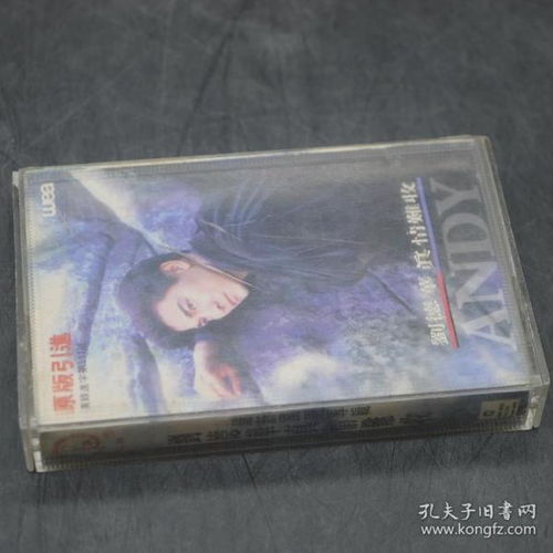 音像制品 從唱片收藏到現代制作的藝術與科技融合